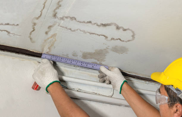 Reliable Structural Drying contractor in Greer, AZ by Water Damage Irwin